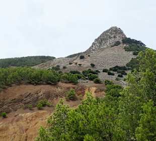 Inseltour Porto Santo