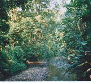 ausgetrockneter Fluss