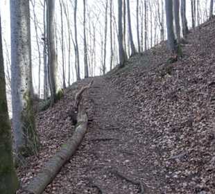 Premiumwanderweg Hohenwittlingensteig