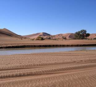 Pustynia Namib po opadach deszczu 