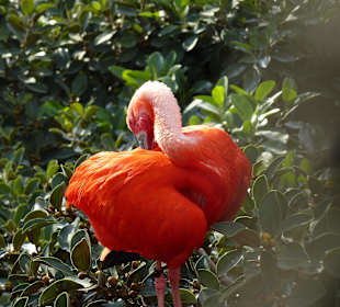 Kann man nicht mal sich in Ruhe putzen