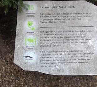 Dinosaurier Museum Altmühltal