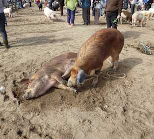 Uns geht es noch gut