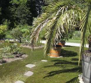 Botanischer Garten der Universität Zürich