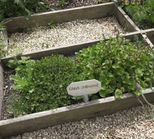 Benediktinerkloster Lorch