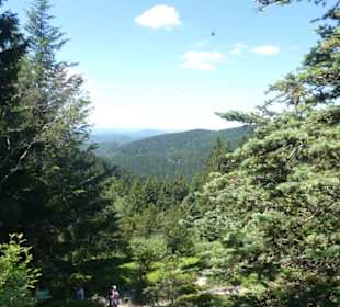 Ausblick vom Rennsteiggarten