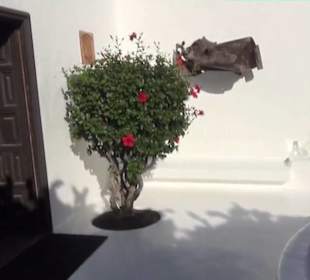 Fundacion Cesar Manrique