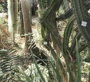 Botanischer Garten