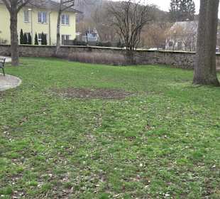 Bürgerpark Grüne Mitte