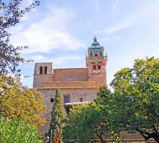 Blick aus dem garten auf die Kirche
