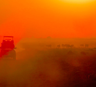 Staubige Pisten im Sonnenuntergang; einfach schön