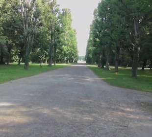 Schlosspark