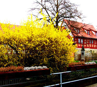 Der Frühling kommt auch am Schloß