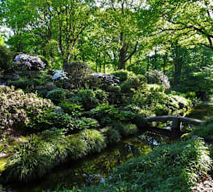 Der Bremer Botanische Garten im Mai