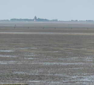 Beim Nordsee-Wattenmeer bei Cuxhaven