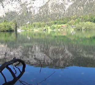 Thumsee 