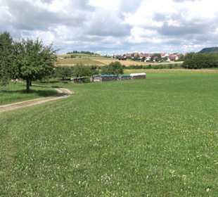 Wanderweg Ammerbucher Gigeleswegle