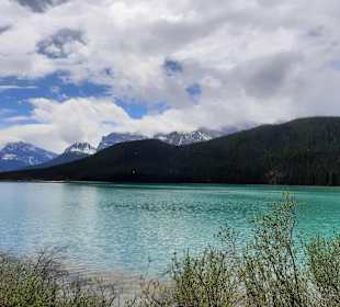 ....wow....was für Farben....