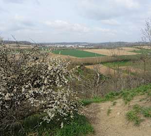 Naturdenkmal Sonnenberg Ausblick
