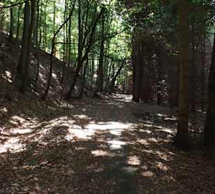 Wanderweg Roßtrappe