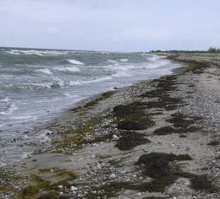 Aufgewühlte See