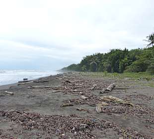 Strand Tortuguero