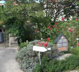Schmuckhof Botanischer Garten