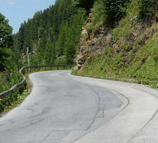 Eine Schlange windet sich nach oben