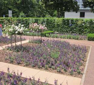 Rosengarten Zweibrücken