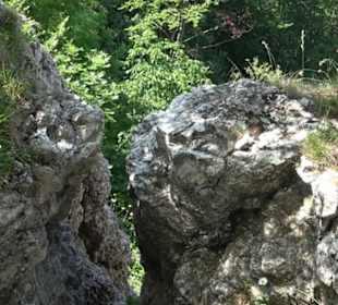 Premiumwanderweg "hochgelegen"