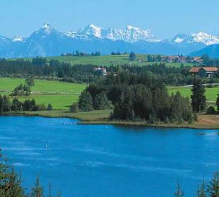 Badesee mit Alpenblick