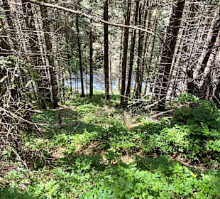 Wandern Kaltenbach