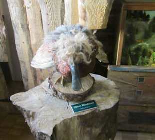 Im Elwetritschemuseum Speyer