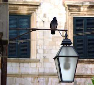 Die Altstadt Dubrovnik