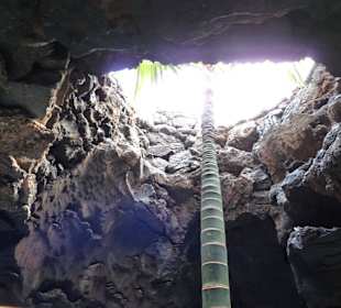 Fundacion Cesar Manrique