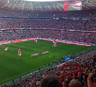 Allianz-Arena