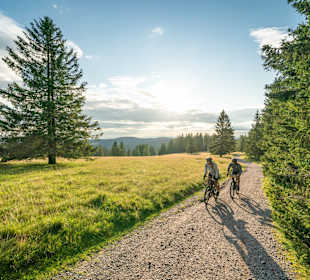 Sport & Freizeit