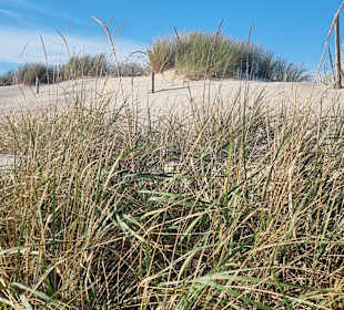 Strand und Dünen