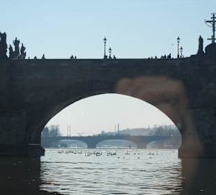 Karlsbrücke
