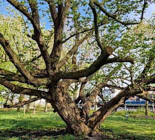 Stadtrundgang Rendsburg