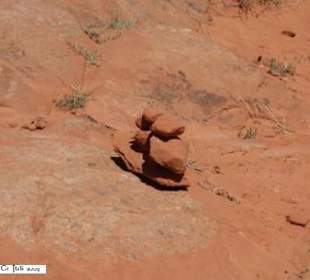 Achten Sie auf diese kleinen