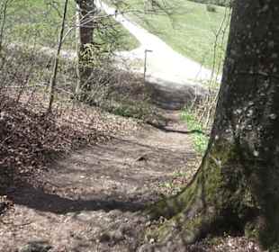 Wanderweg Hochgehkämpft