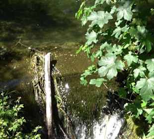 Mittlerer Gönninger See