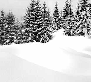  Winterwandern - Schneeschuh 