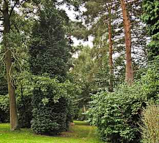 Кладбище Ольсдорф, Гамбург, 16 сентября 2013 года