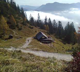 Katrin Alm