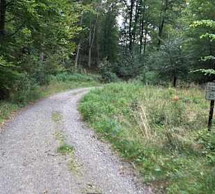 Altwege Rundwanderung Bebenhausen