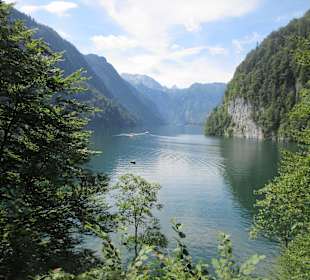 Der Königssee