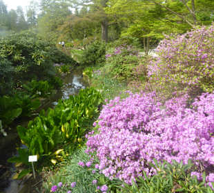 Botanischer Garten München