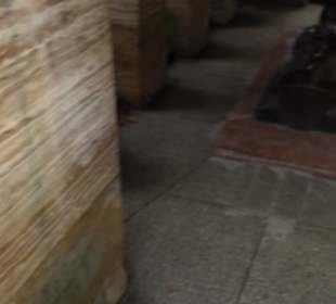 Kriegerdenkmal im Hofgarten